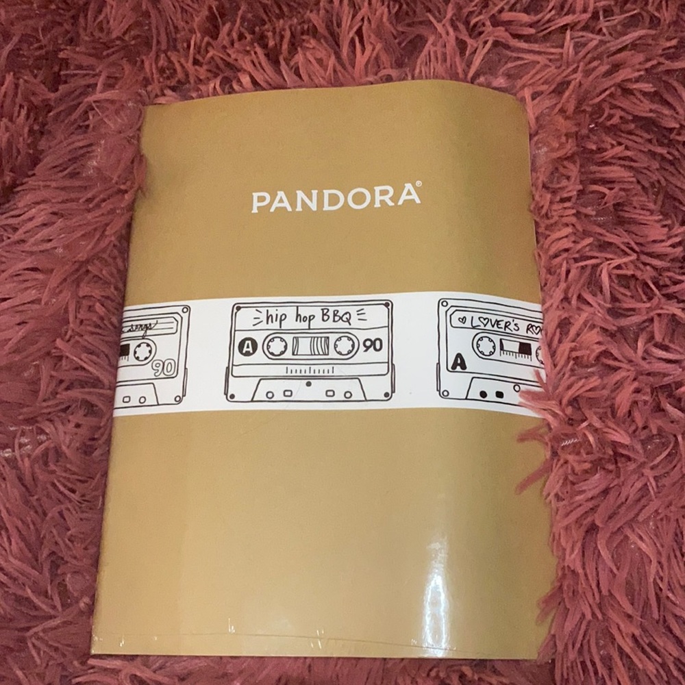 Pandora Music Notebook NWT